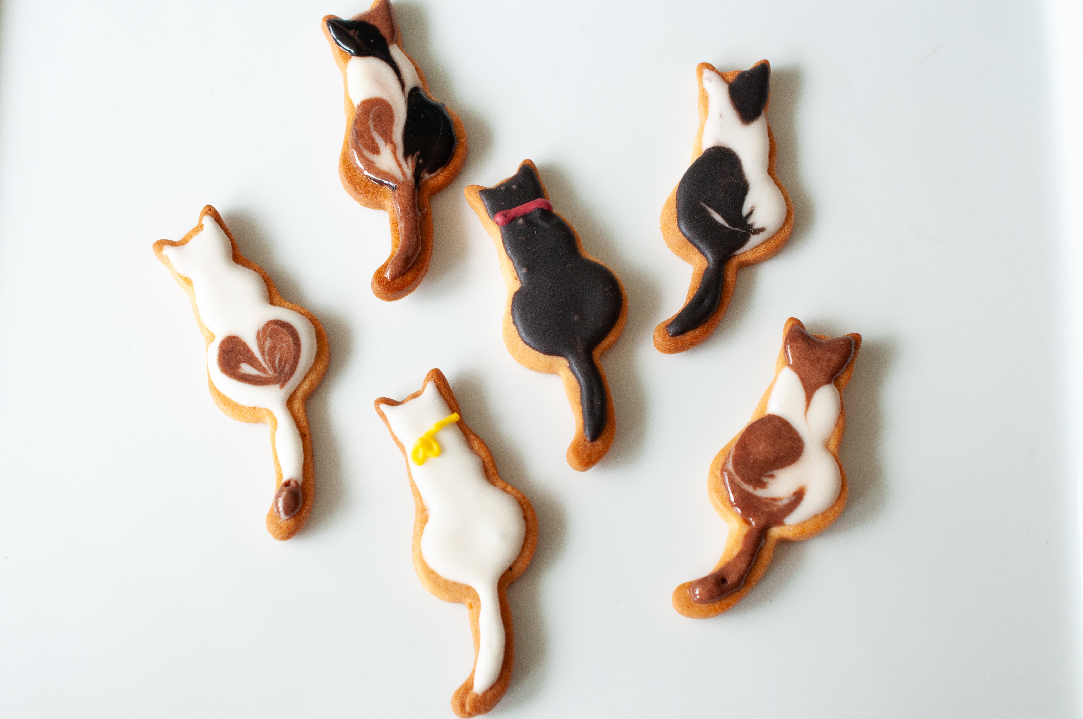 DSC_0615_4128x.jpg?v=1762669446